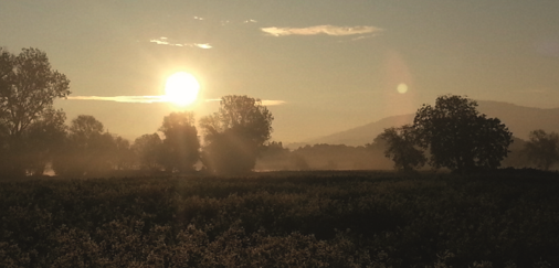 Wissen Sie schon, wie Sie wählen werden?