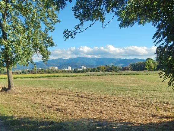 Bürgeraktion Dietenbach ist überall und ECOtrinova e.V. warnen vor Jahrhundertrisiken, in Verbindung mit dem Kauf der Sparkassengesellschaft EMD