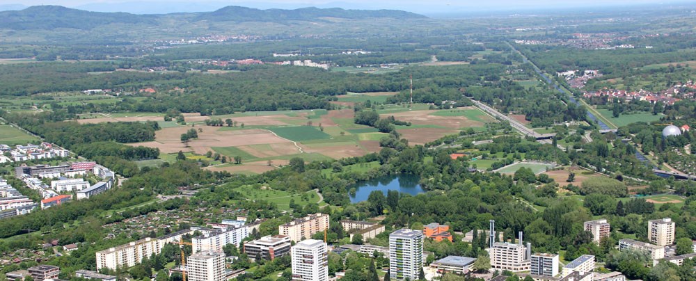 ARGUMENTE FÜR DEN ERHALT DES DIETENBACH-GELÄNDES VON EINER AUSGEWIESENEN KENNERIN DER STADT