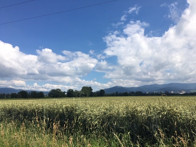 Landwirtschafts- und Umweltverbände sammeln gemeinsam für Klage gegen Dietenbach