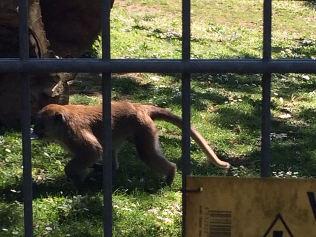 Zukünftig mehr Platz für den Mundenhof