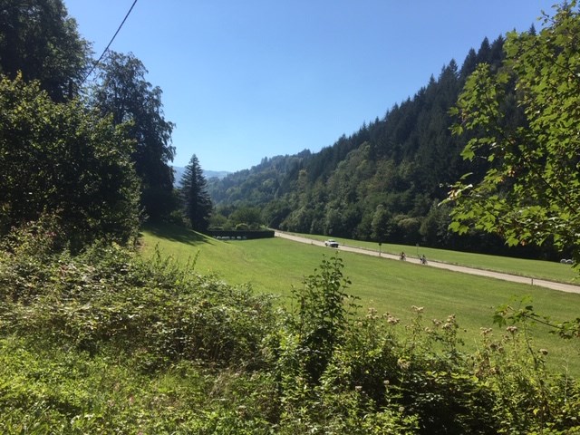 Green City betoniert mal wieder in großem Stil im Grünen