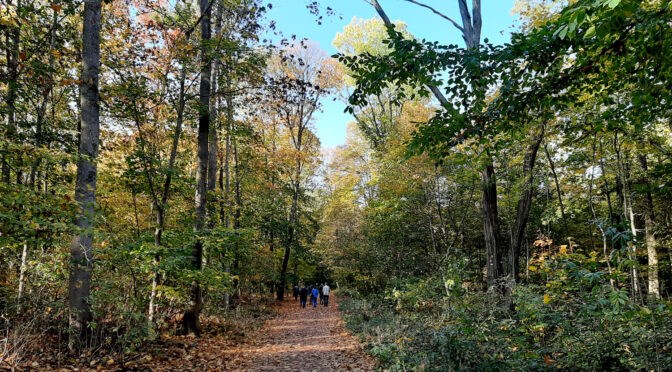 Dietenbach - Petition gegen die geplante Abholzung von bis zu 3.700 Bäumen