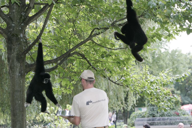 Mundenhof darf zurzeit ohne vorangehende Terminbuchung besucht werden