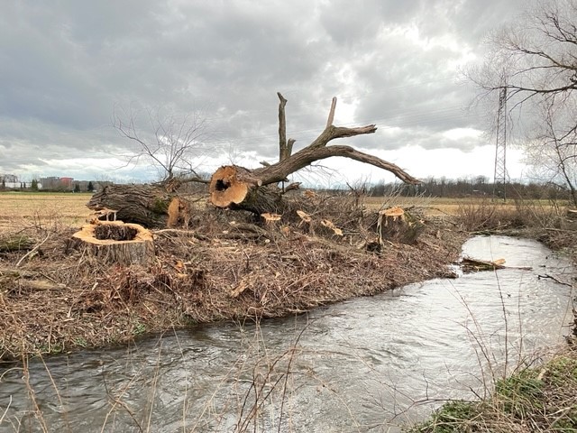 Bürgeraktion Dietenbach ist überall fordert Aufgabe des Neubaustadtteil Dietenbach